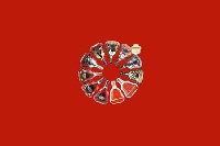 阜新太平回收红酒